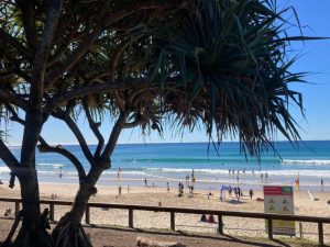 Beachsafe Coolum