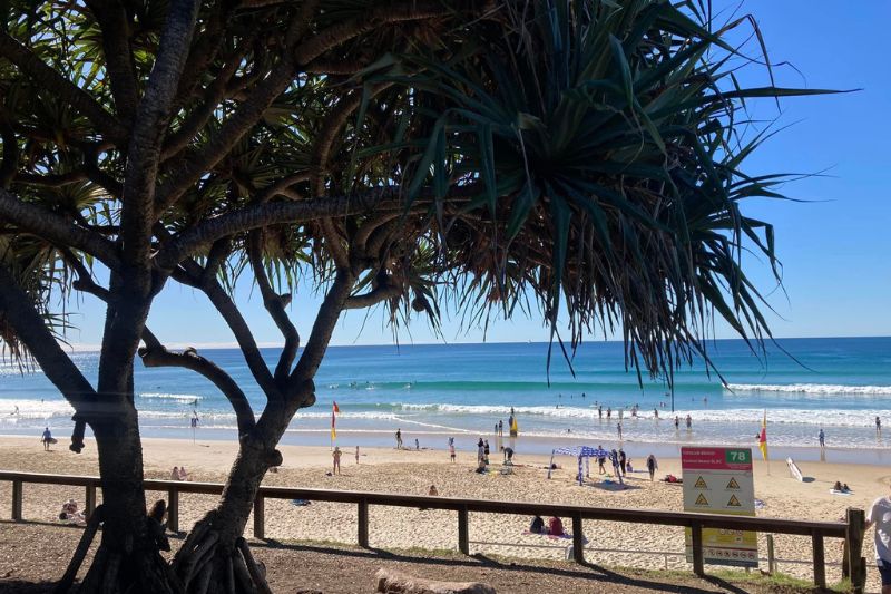 Beachsafe Coolum