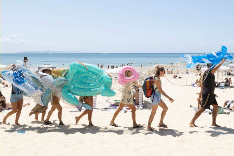 Noosa shark website Featured Image