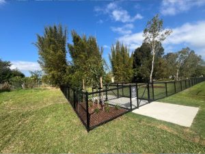 Yandina dog park