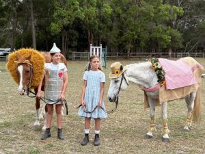 Pony Club Website Featured Image