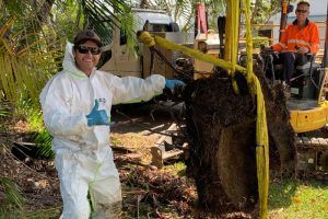 Unity tree roots Website Featured Image