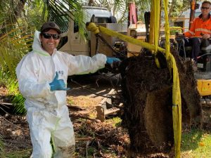 Unity tree roots Website Featured Image