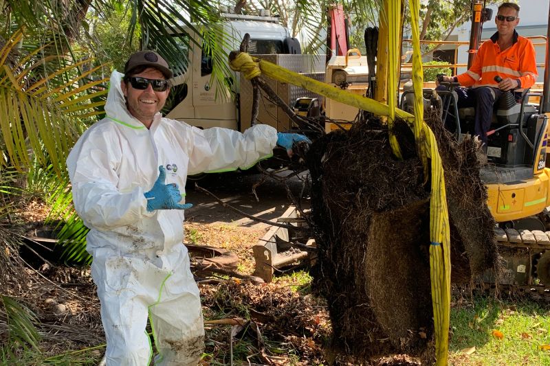 Unity tree roots Website Featured Image