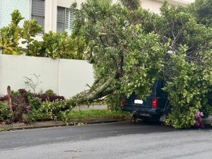 storm 5 Website Featured Image