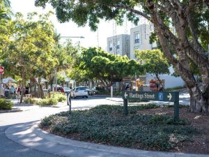 Noosa Traffic Website Featured Image