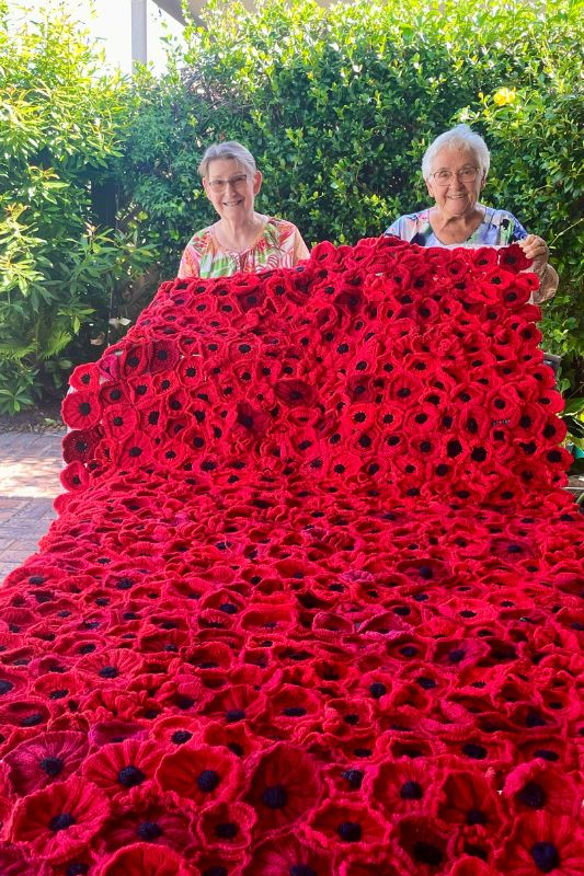 Quota website image poppies