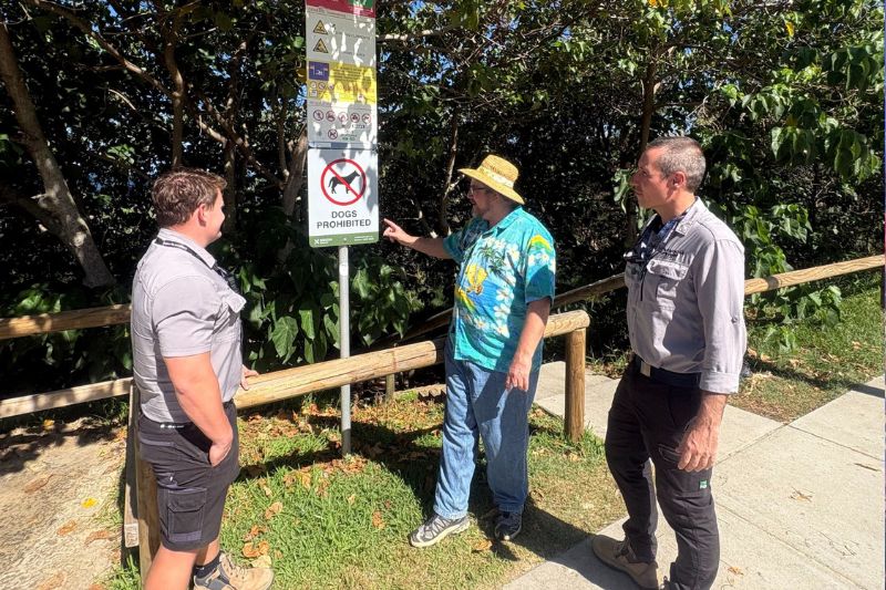 dog signs Website Featured Image