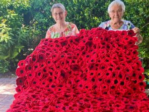 poppies Website Featured Image