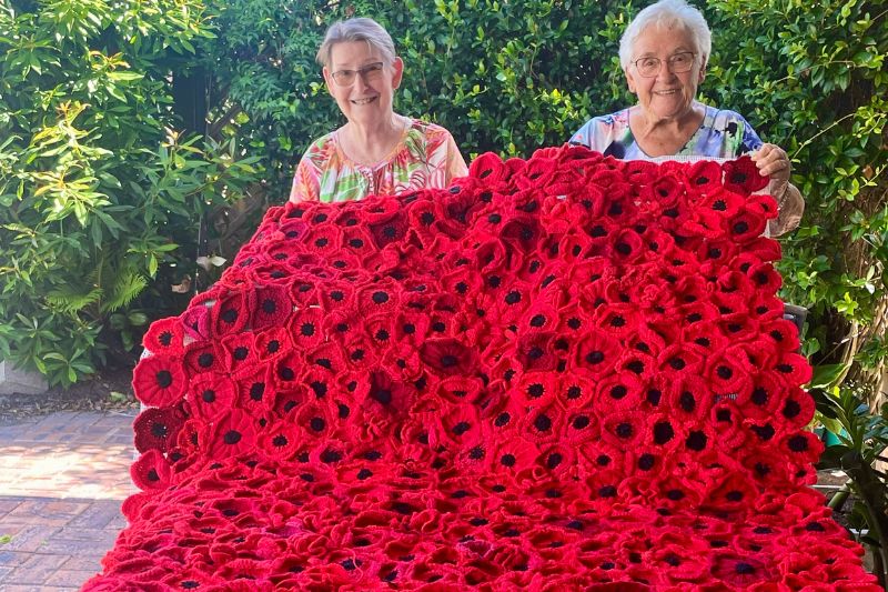 poppies Website Featured Image