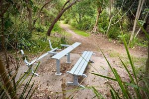 bench Website Featured Image