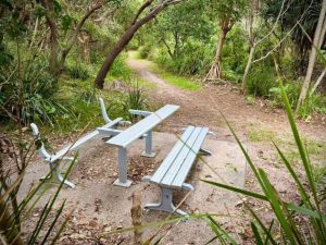 bench Website Featured Image