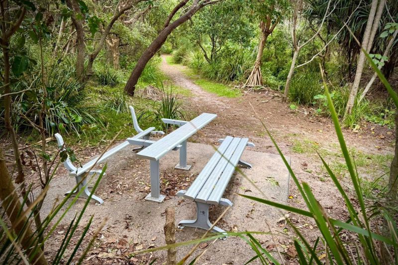 bench Website Featured Image