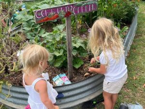 garden 2 Website Featured Image