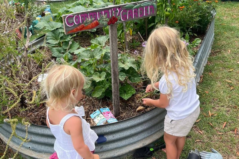 garden 2 Website Featured Image