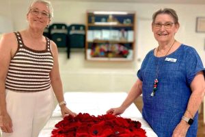 quota website featured image