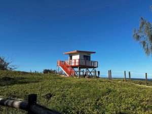 Tower Website Featured Image