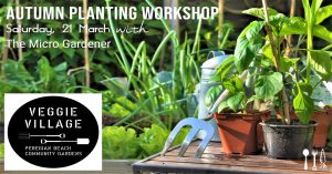 com update - veg flyer