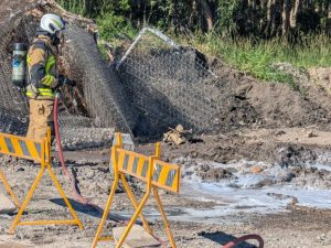 Doonan tip Website Featured Image