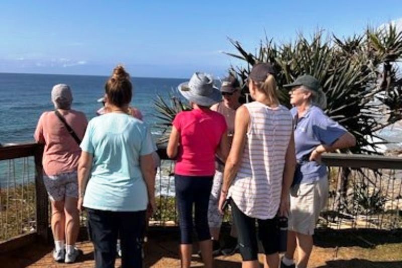 womens shed 2 walking