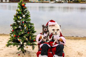 Santa Paws website image
