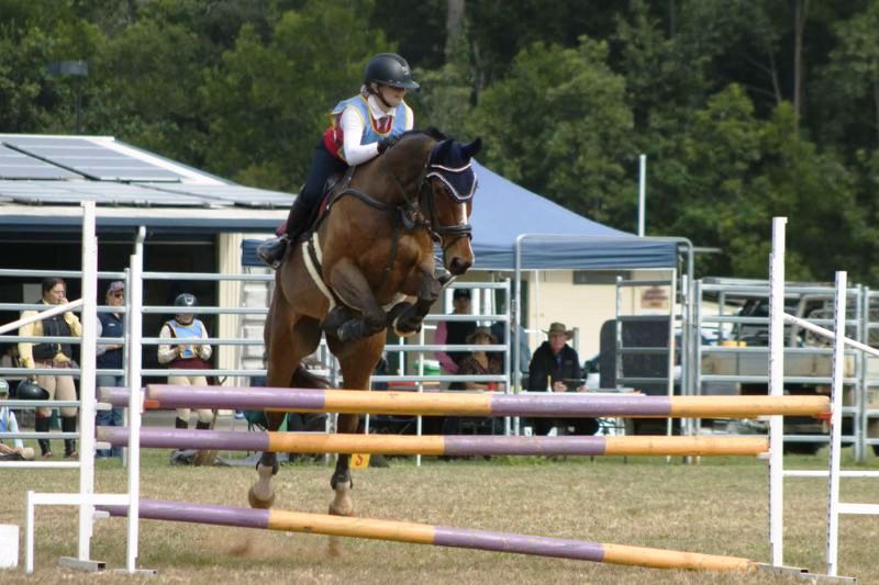 pony 1