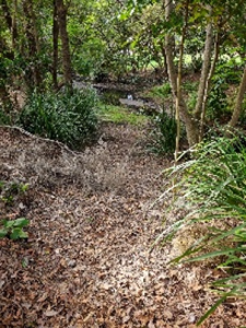 Orungal Park, Seaside Shores