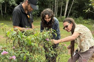 first nations tafe course