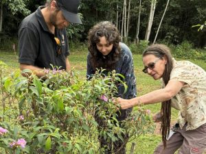 first nations tafe course