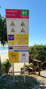 Beach access 81 Coolum
