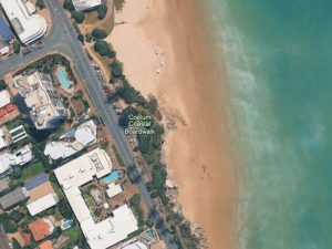 coolum dog beach