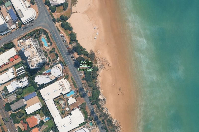 coolum dog beach