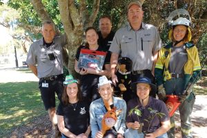Noosa show Website Featured Image